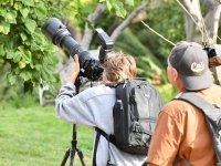 Photog.jpg