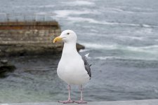 DSC_1859.jpg