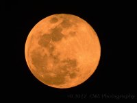 4-10-17-cr__D7K6418.jpg