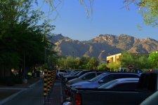 4-14-17-cr_DSC_5331.jpg