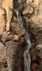 4-14-17-cr_DSC_5337.jpg