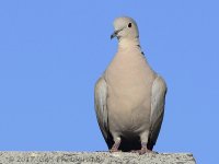 4-18-17-cr__D7K6473.jpg
