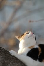 DSC_4574+Calie -0005.jpg