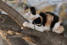 DSC_4577+Calie -0003.jpg