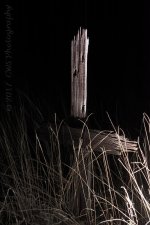 4-19-17-cr__D7K6484.jpg