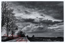 Evening-4961-Edit.jpg