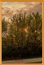 breaking dawn-4996-Edit.jpg