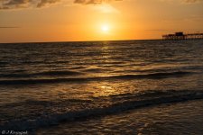 florida-165.jpg