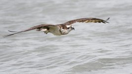 _DSC2709-Edit.jpg