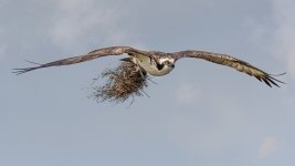 _DSC2648-Edit.jpg