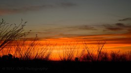 4-23-17-cr_DSC_5366.jpg