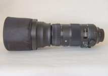 DSC_0014.jpg
