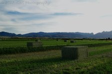 4-27-17-cr_DSC_5416.jpg