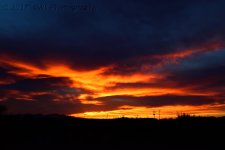 4-27-17-cr_DSC_5418.jpg
