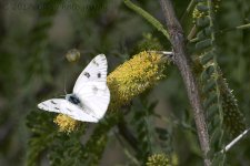 4-28-17-cr__D7K6533.jpg
