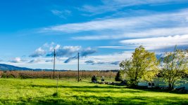 DSC_7518.jpg