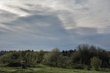 DSC_7496.jpg