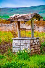 DSC_7491-Edit.jpg