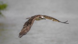 _DSC2789-Edit.jpg