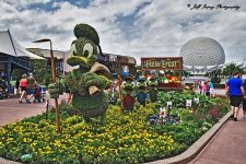 DSC_1775.jpg