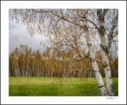 DSC_8510_HDR.jpg