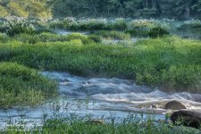 05-08-2017_0022-Edit.jpg