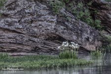 05-08-2017_0024-Edit.jpg