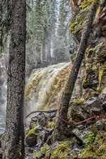 _IVA5111-Edit-Edit.jpg