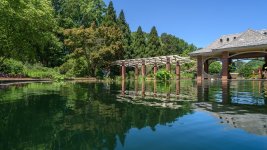 Huntsville gardens-May-2017-0149.jpg