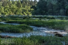 05-08-2017_0021-Edit-Edit.jpg