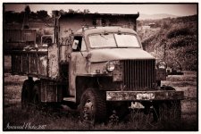 DSC_7966.jpg