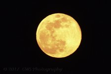 5-10-17-cr__D7K6993.jpg
