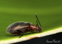 DSC_8042.jpg