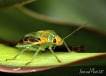 DSC_8049.jpg