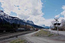 CP DSC_7687.jpg