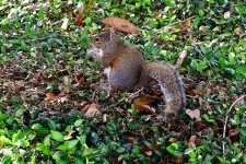 DSC_1500.jpg
