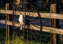 Wagon Wheel in Hooper 5-13-2017.jpg