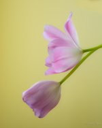 _N713940.jpg
