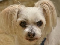 Timmy DSC_8590.jpg