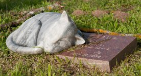 Marble Cat Gravestone_5409.jpg Marble Cat Gravestone_5409.jpg