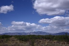 5-16-17-cr__7500050.jpg