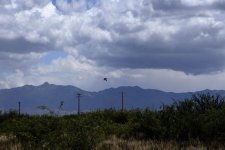 5-16-17-cr__7500053.jpg