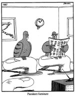e0141a114fb83451bb8a919a43bfca68--funny-cartoons-funny-jokes.jpg