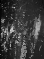 Shadows2.jpg