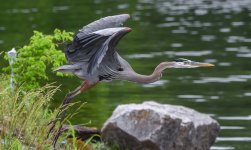 _DSC3891-Edit-2.jpg