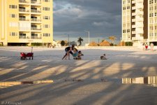 florida-202.jpg