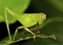 DSC_8400.jpg