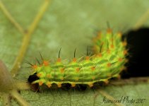 DSC_8409.jpg