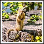 DSC_0692.jpg