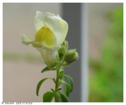 DSCN2024.jpg